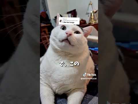 イエバエについて詳しく解説