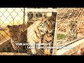 Mooi Fontein Private Game Farm A Luxury Bush Escape In The Free State