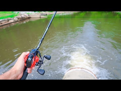 Searching for GIANT Summer BASS (Pond Fishing) Video