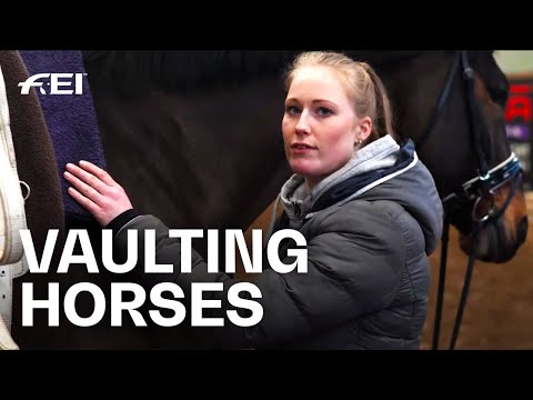 "Our Horses are Athletes as well" | Inside the Vault | Guest Vlog