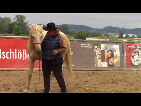 MUSTANG MAKEOVER 2018 Team Janell (TAG 4246) - Update 7