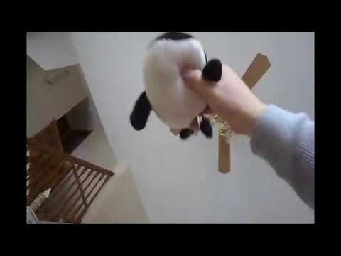 The Woodpile Cat King Part 5 - Phineas and Crowley's Conversation