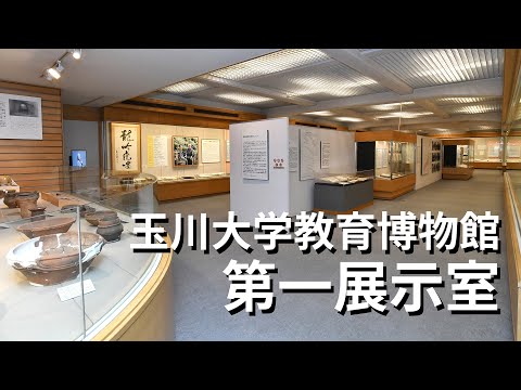 玉川大学教育博物館　第一展示室をご紹介！
