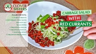 Cabbage Salad with red currants
