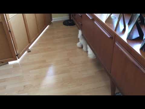 Tyanna and Pee playing