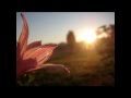 'Corner' by Jai Uttal and the Pagan Love ...