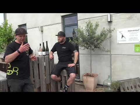 Weintaxi Wiesbaden - Weingut Dillmann - Vorstellung