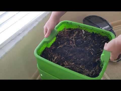 Hot Frog Living Composter Day 127 - Flies OH MY Troubleshooting - Vermicomposting