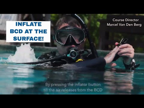 Inflate BCD at The Surface - PADI Open Water Diver Course • Scuba Diving Tips