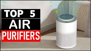 Top 5 Best Air Purifiers in 2026