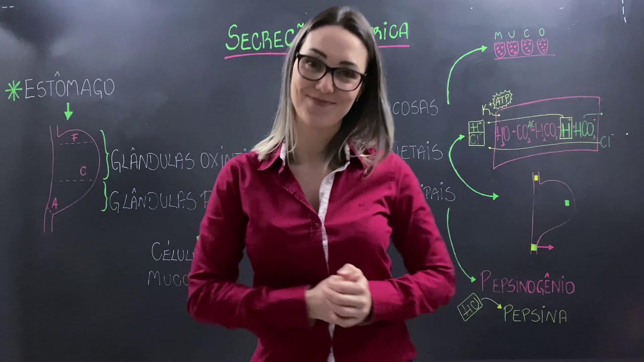 Secreção Gástrica - Dra Fran Licks