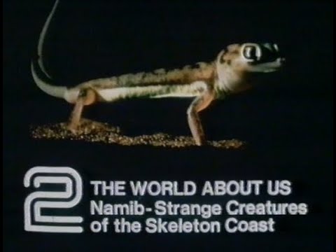 Sunday 18th July 1982 BBC2 - World About Us - Flight Of The Condor - Two Foot Tomorrow - News