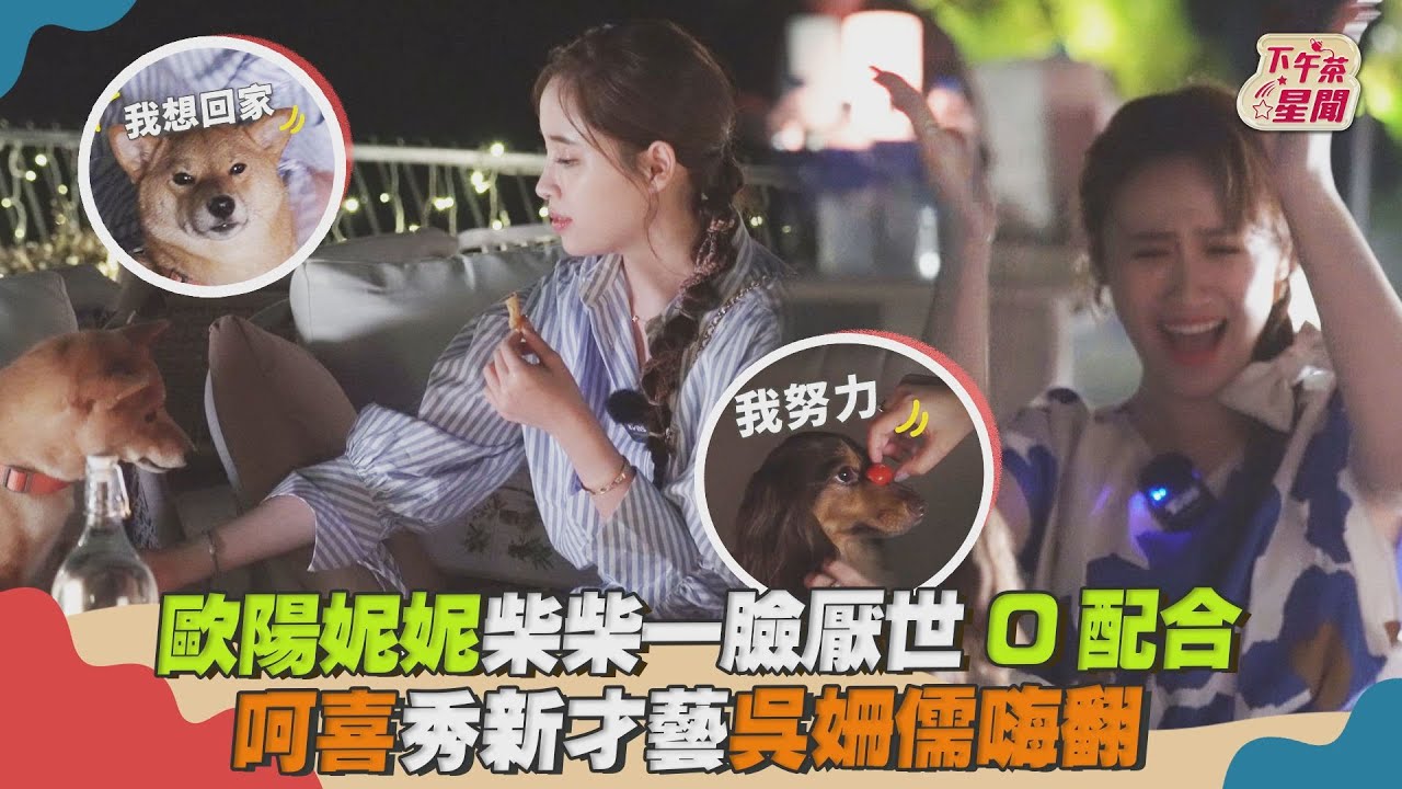 影音/歐陽妮妮「柴柴一臉厭世」0配合 呵喜秀才藝吳姍儒嗨翻