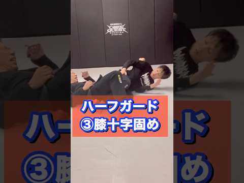 【二ーシールドハーフ膝十字固め】 #グラップリング #格闘技 #grappling #ブラジリアン柔術 #膝十字固め #mma #ハーフガード #halfguard #釧路市