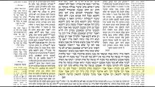 דף היומי מנחות דף ח