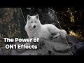 The Power of ON1 Effects