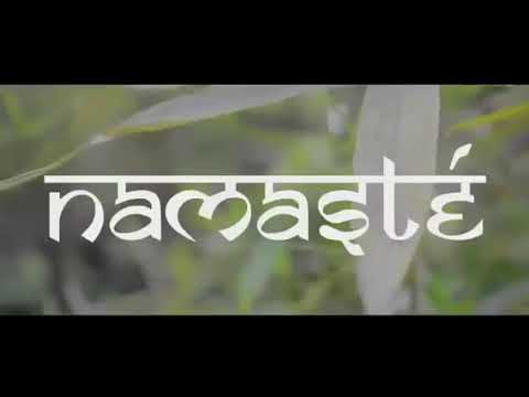 Bhavi X Lost Maik - Namasté [adelanto]