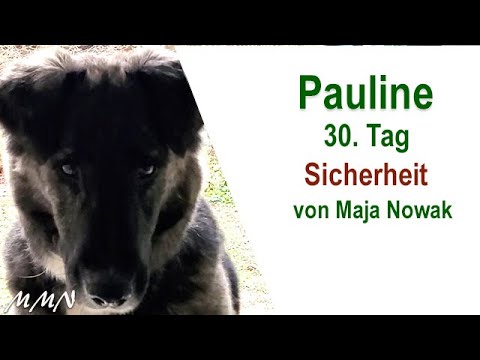Sicherheit - Pauline und das Auto - 30.Tag - von Maja Nowak
