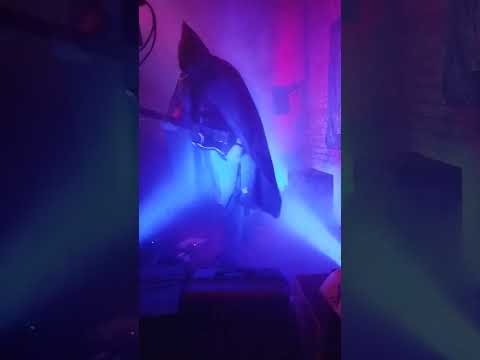 Gates of londra live in vienna 2025