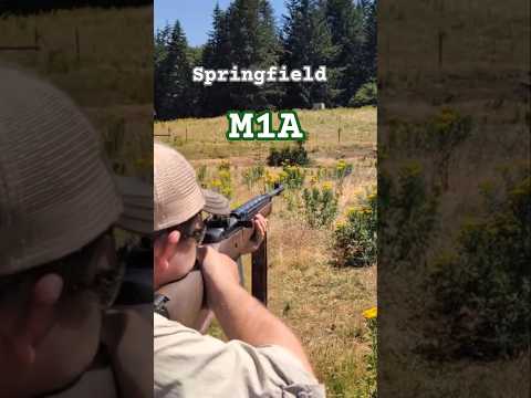 Springfield M1A / M14 First Shots