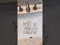 DIY fortune teller  #comedy #funny #shorts