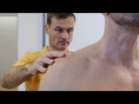 ELYTH Impulser ꟾꟾ Die Impuls-Reflex-Methode