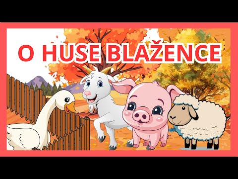 O HUSE 🪿🐖BLAŽENCE - audio pohádka na spaní (2024)