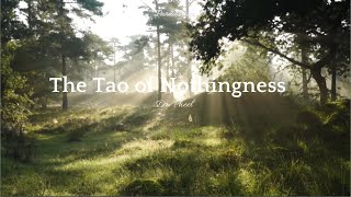 Relaxing Music - The-Tao-of-Nothingness- Dr. Pheel Paradiseton