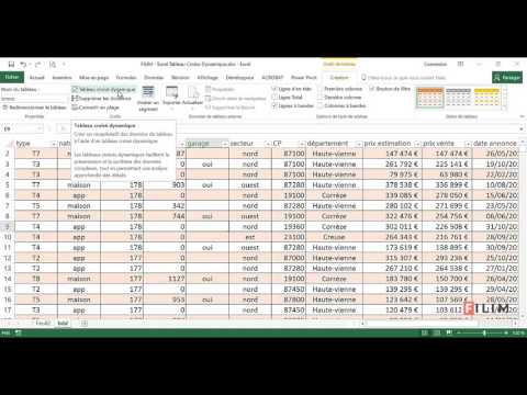 Excel   Tableau Croisé Dynamique 5   segment et chronologie