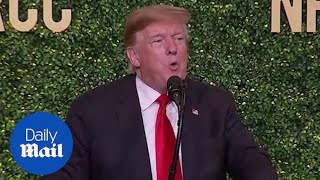 Trump wonders if the noise from wind farms 'causes cancer'