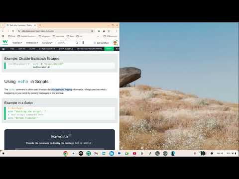 Bash Command Bash Echo Command Bash On A Chromebook