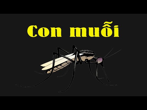 , title : '👉 Bạn có biết những điều này về con muỗi 🤔'