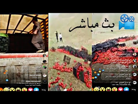 , title : 'شاهد رمي الطماطه بكميات هائلة🤯😭 وتخلص منها وذلك بعد قرار منع استيرادها ودخولها للمناطق الجنوبية'