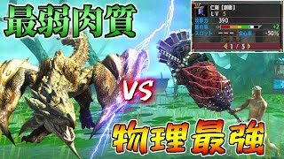 火力を極限まで高めた最高攻撃力大剣がG級リオレイアを〇発で沈めるらしい（ゆっくり実況）【MHXX】