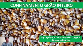 CONFINAMENTO GRÃO INTEIRO