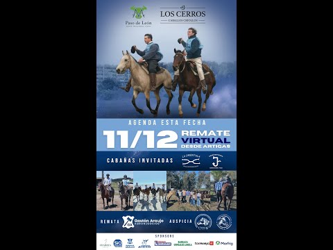 11/12/2025  Paso de Leon y Los Cerros - Gastón Araujo Agronegocios / Virtual - Artigas