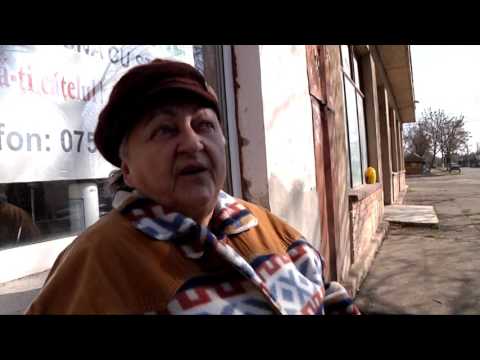 Știri Etv/22.03.2017 - CĂȚEII DIN BRĂILA POT FI STERILIZAȚI