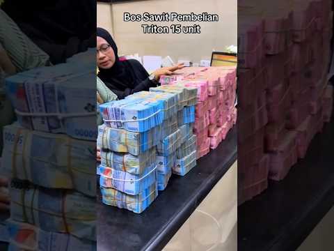 BosMuda Toke Sawit Cash Beli 15 Unit Triton #short #viral #triton #automobile