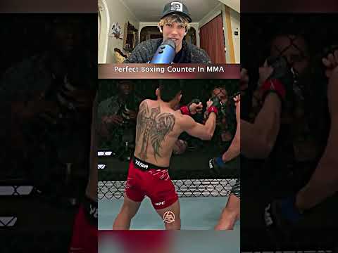 Perfect Boxing Counter In MMA
