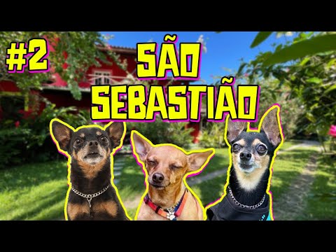 INVADIMOS SÃO SEBASTIÃO - SP PARTE 2 | dicas de viagem  |hotel pet friendly |viagem com cães | Vlog