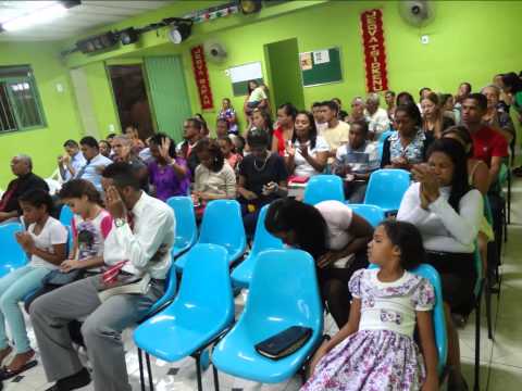 Bem vindo......02 Março 2014 - Arca de Noé - Fotos Videos