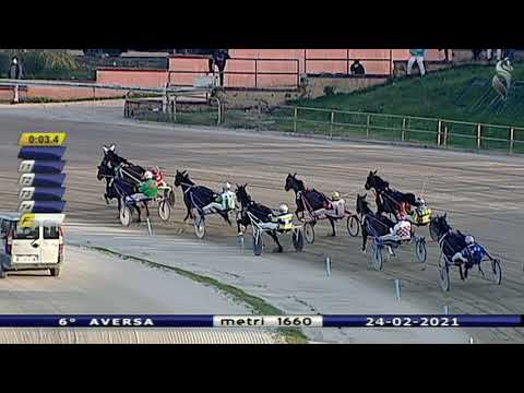 Aversa trotto 24 Febbraio 2021 - 6° Corsa