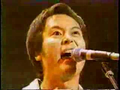 【LIVE Y】GREAT 3 / METAL LUNCHBOX