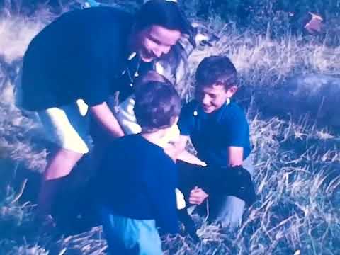 Carù 1972 - Gregge al pascolo a Budriotto