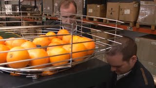 Thumbnail del capítulo