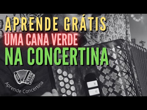 Aprender a Tocar Cana Verde na concertina -  versão pequena #concertina  #auladeconcertina