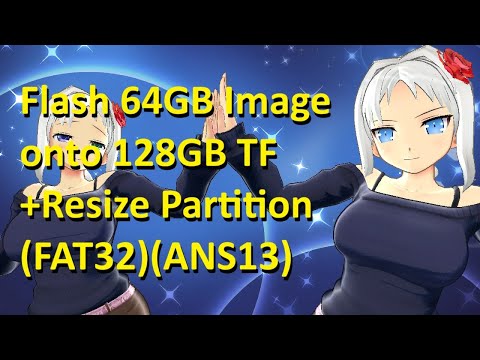 Re sizing TF FAT32 Partition and Adding Games ANS13
