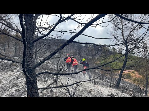 Incendie dans l'Aude : "Le feu ne sera pas éteint avant des jours", dur combat pour les pompiers