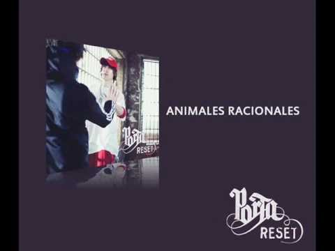 AgustinRuiz10’s Video 46074251317 WVCaBk5yGLA