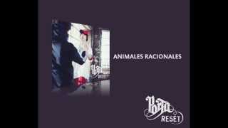 Porta - Animales racionales